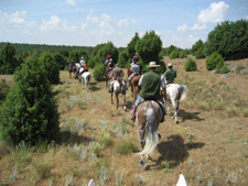 Spain-Central Spain-Vineyard Trail - Ruta del Vino